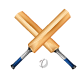 Cricket